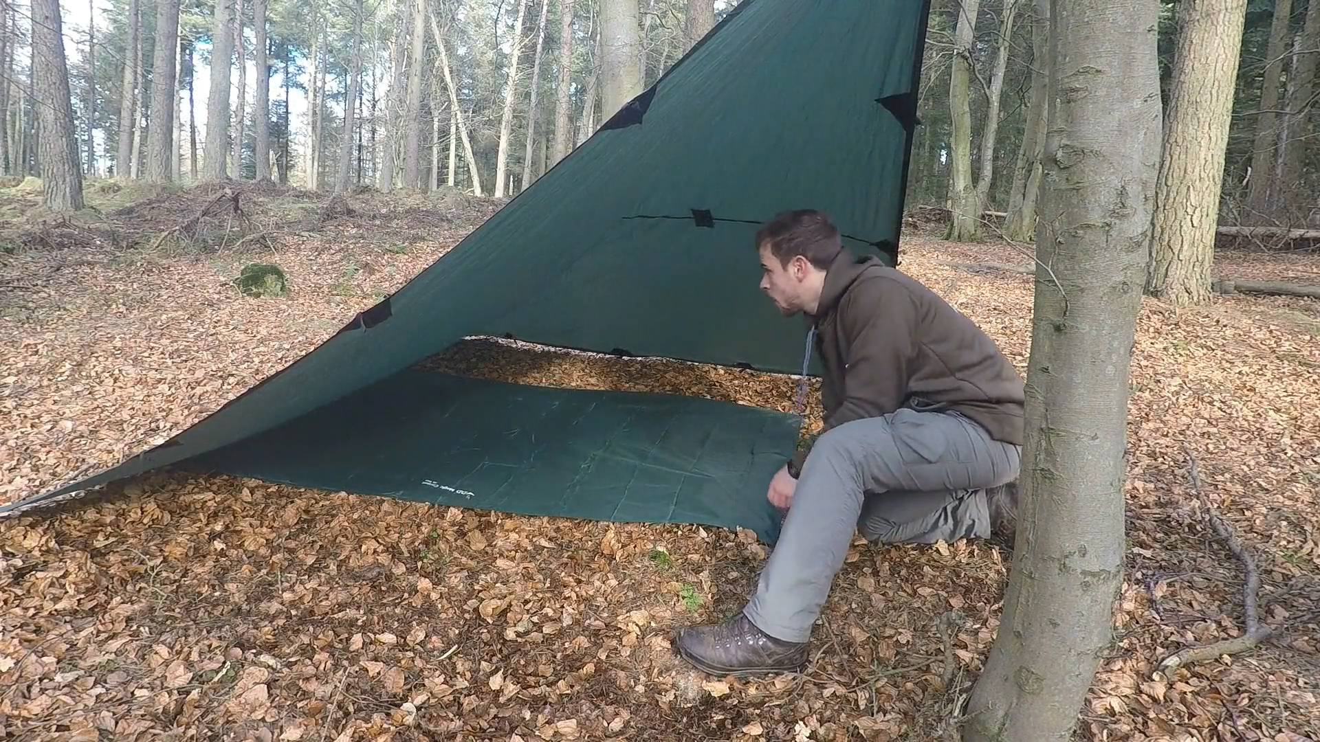 Dd magic carpet Clearance